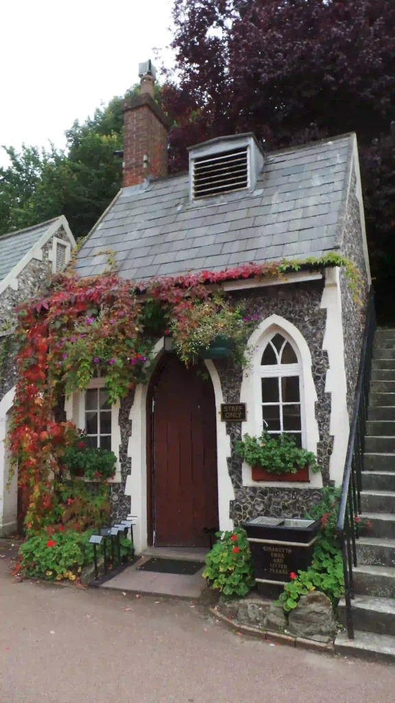 Grapevine Christmas wreath ideas for different home types and styles