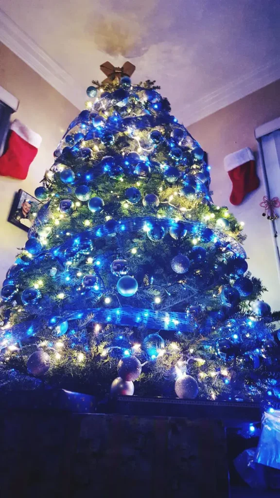 Blue And Silver Christmas Tree With Cool LED Lights