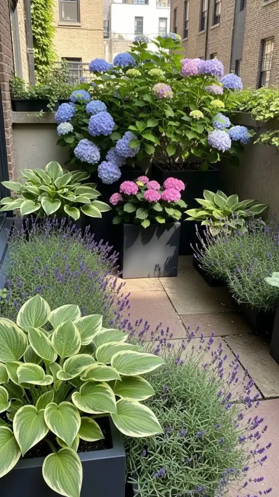 Hydrangea Landscaping Ideas for Small Yards