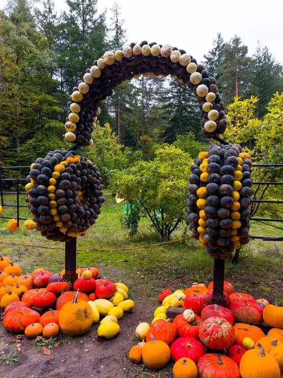 Sims landscaping ideas seasonal garden with spring summer autumn winter themes